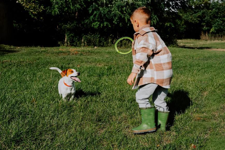 Adopciones