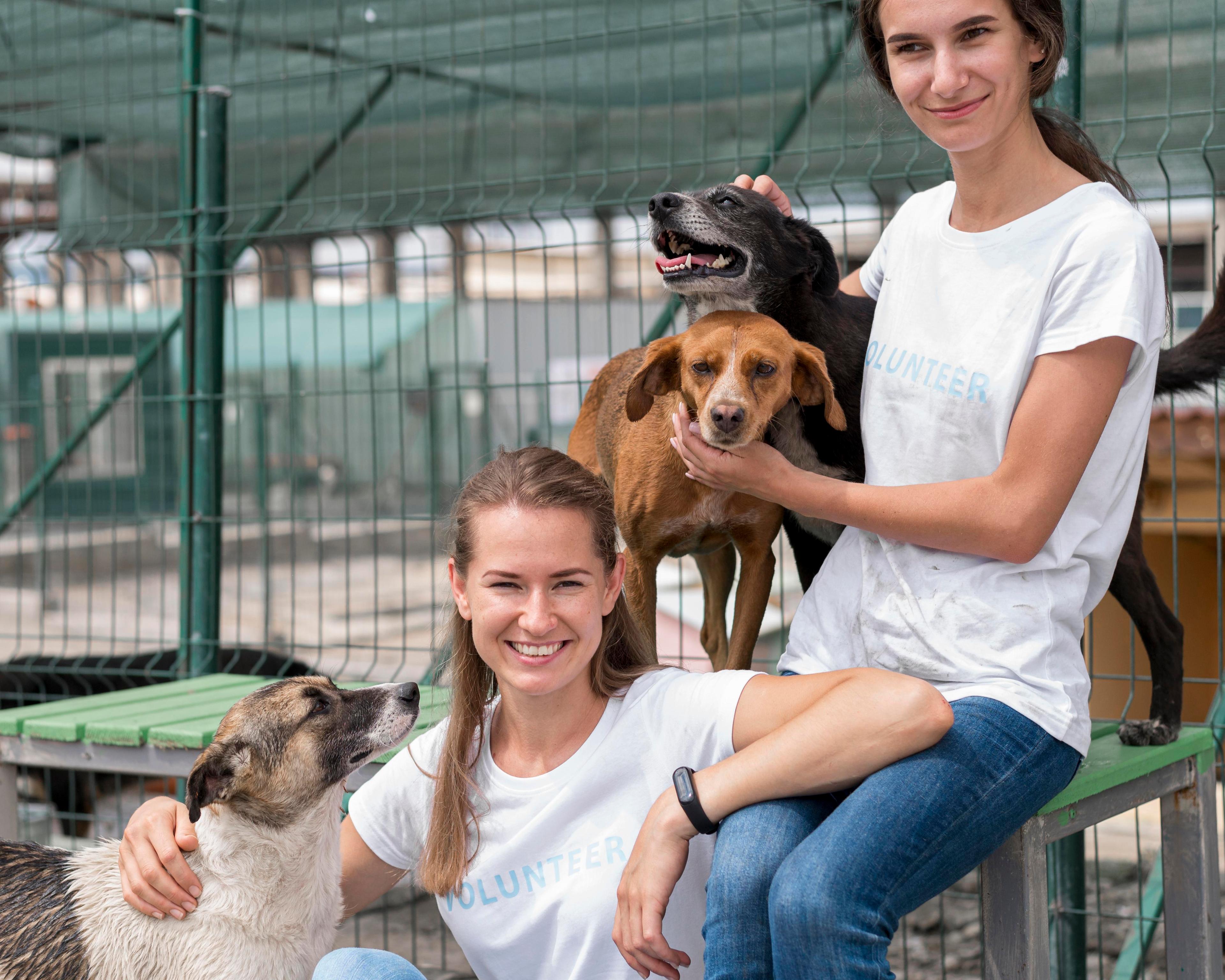 pet image